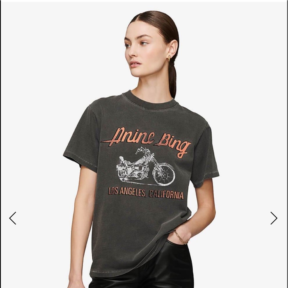 Anine Bing